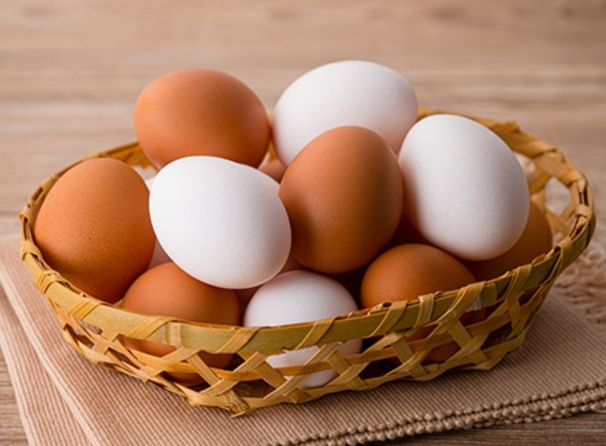 朝ごはんのご馳走だった「卵の味」を現代に。世界に誇る、那須御養卵の作り手 稲見商店